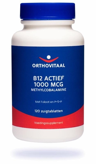 ORTHOVITAAL B12 ACTIEF 1000MCG 120TB